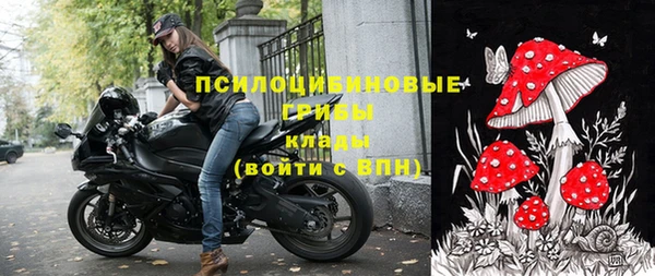 спайс Алзамай