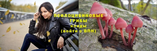 кокаин колумбия Алексин